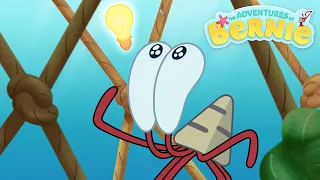 NEW The Adventures of Bernie ⚠️ BERNIE NEEDS HELP 💡 Zig & Sharko - Cartoons for Kids