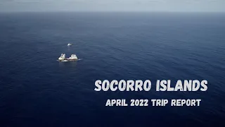 Diving Socorro on the Nautilus Explorer in 2022 (4K)