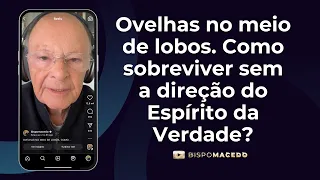 Ovelhas no meio de lobos. Como sobreviver sem a direção do Espírito da Verdade? - Meditação 03/05/24