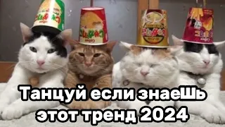 🤩Танцуй если знаешь этот трендТренды 2024года🤩