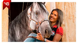 Como Um Vaqueiro Ama - Iguinho e Lulinha (Clipe Vaquejada) VB Oficial