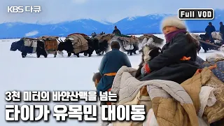 🦌순록은 리무진, 🐃야크는 트럭. 봄 유목지를 향해 3천미터 산맥을 넘는 유목민의 대이동┃와일드 몽골리아 - 2부 타이가의 순례자들 (KBS 20120523 방송)