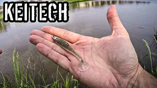 A Reliable Finesse Swimbait for Tough Fishing Conditions (2.8" Keitech Swing Impact)