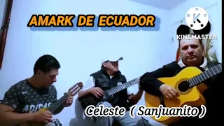 Celeste (Sanjuanito) / AMARK DE ECUADOR