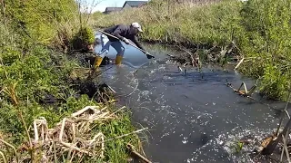 Expedition #19 | Beaver dam removal. Mud and reeds.