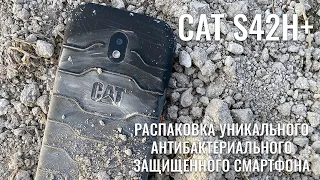 CAT S42H+ распаковка уникального антибактериального смартфона