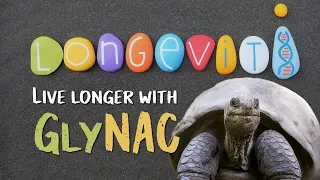 GlyNAC longevity. Glycine + NAC extends your life. Anti-ageing supplements