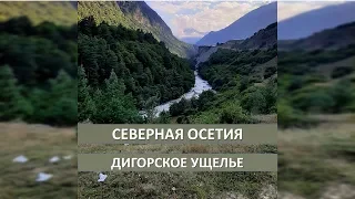 Северная Осетия. Дигорское ущелье. Красота Кавказа.