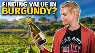 5 Great Value BURGUNDY Wines You MUST Try (While They Are Still Affordable)