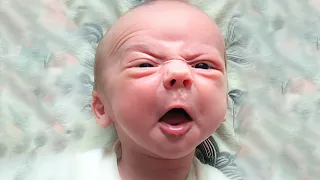 Try Not To Laugh Impossible - Funny Baby Videos Compilation | BABY BROS