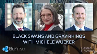 Black Swans and Gray Rhinos with Michele Wucker