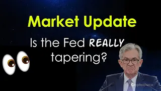 Cryptospace - Is the Fed Really Tapering?