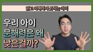 읽고 이해하지 못하는 아이 우리 아이 문해력은 왜 낮은걸까