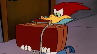 Woody's important new mission | Woody Woodpecker