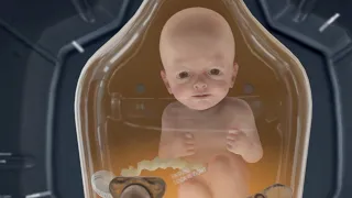 Death Stranding: Bridge Baby Explainer Trailer - Gamescom 2019