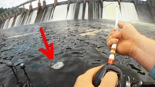 This BAIT! Catches Everything!!! | Epic Multi Species Fishing Below Massive Spillway