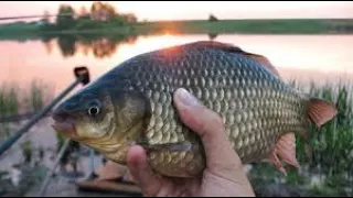 Долгожданная рыбалка на родине!!!С папой за карасём!!!