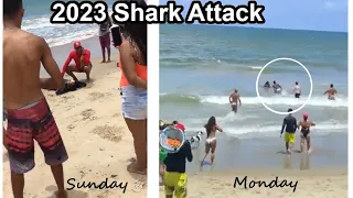 Shark Attacks Sever Two Teen's Limbs One Day Apart