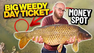 Carp fishing tricky weedy venues for BIG CARP! 48 hour session