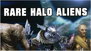 3 Covenant Species you've never heard of - Halo Lore