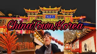 Korea Vlog | Largest Chinatown in South Korea | Chinese New Year | 인천  차이나타운