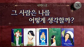 [타로] 그 사람은 나를 어떻게 생각할까?