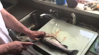 Quick and easy way of cleaning trout .