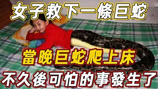 女子河邊救下一條巨蛇，不料當晚巨蛇爬上床，接下來發生的一幕，讓她後悔不已……｜佛說