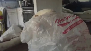 Cat Runs With a Plastic Bag