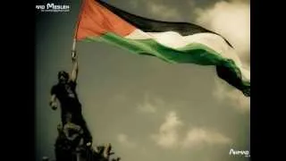 ~Free Palestine~ "It's a Miracle" Roger Waters