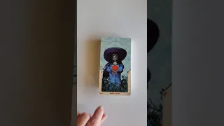 Santa Muerte Tarot Book of the Dead reveal and deck flip through