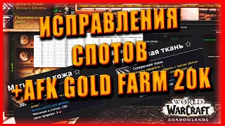 Blizzard ИСПРАВЛЕНИЯ В ИГРЕ + AFK Gold Farm 20к В ЧАС. World of Warcraft Shadowlands 9.0.2