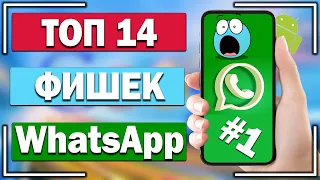 Топ 14 полезных фишек для каждого пользователя WhatsApp. #1