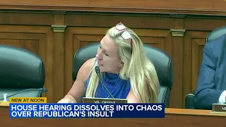 House committee meeting devolves into chaos