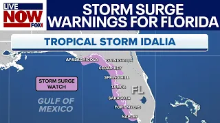 Idalia: Florida hurricane projected as Category 3, storm surge warnings active | LiveNOW from FOX