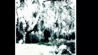 Creepy true story of bigfoot creature ripping the head off of a huge Bull effortlessly