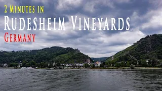 2 Minutes in Rudesheim Vineyards