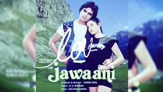 Mana Abhi Ho Kamsin - Audio Song Jawaani ( 1984 )