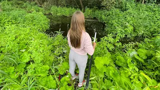 THIS SWAMP IS SWEET WITH FISH! A meter wide ditch is full of carp, crucian carp and perch!