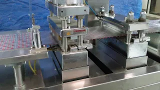 Flat Plate Blister Packing Machine - ALBLIS-II with Coated Tablets Feeding