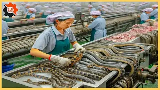 Snake Food Industry Machines - Millions of Snakes Are Raised for Skin to Processed Leather Products