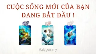 CUỘC SỐNG MỚI CỦA BẠN ĐANG BẮT ĐẦU 🍀🌷🙏🏻tarot🌞🌟🌻