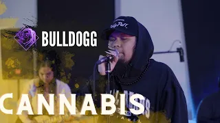 Kagabi Sessions | CANNABIS - @Bulldogg420  S02E03