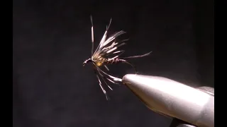 Bead Head Pheasant Tail Soft Hackle tied by Peter Steen