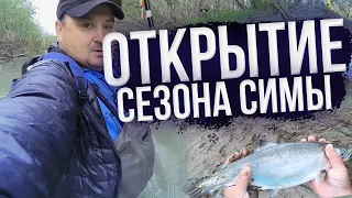 Открытие сезона симы / Cherry Salmon