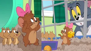 The Tom and Jerry Show _ 10,000 Hamster Pups Reverse _ VBkids