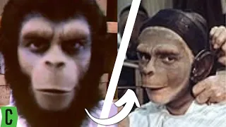 Horrifying Truth of Planet Of The Apes