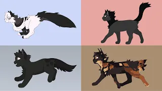 Character animation cycles