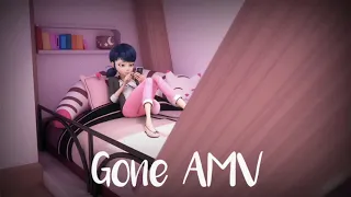 AMV | GONE | Miraculous Ladybug ~ Adrienette (+Kagami)|| Rosé || S1-4