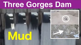 China Three Gorges Dam ● Mud ● December 21, 2021  ●Water Level and Flood